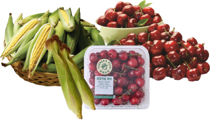 초여름 먹거리 대표 상품 이미지. 이마트 제공